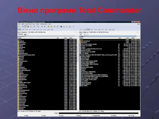 Вікно програми Total Commander