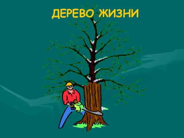 ДЕРЕВО ЖИЗНИ