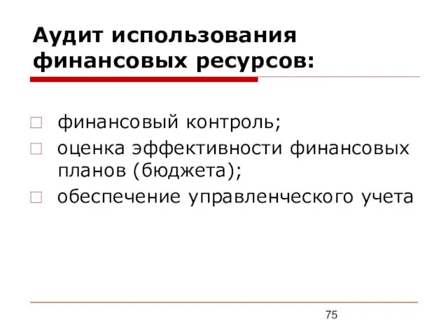 Аудит использования финансовых ресурсов: финансовый контроль; оценка эффективности финансовых планов (бюджета); обеспечение управленческого учета