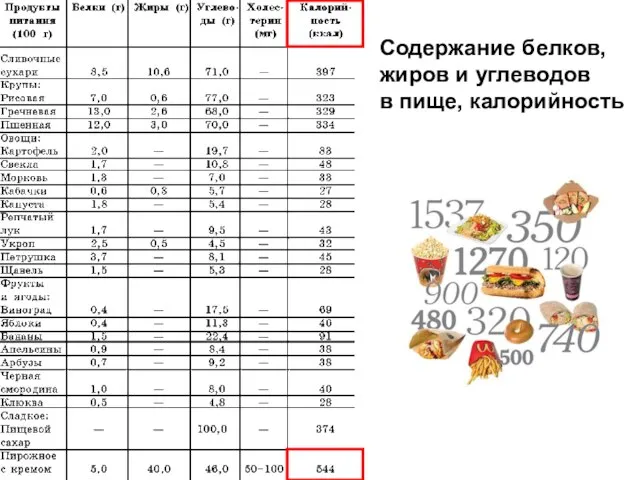 Содержание белков, жиров и углеводов в пище, калорийность