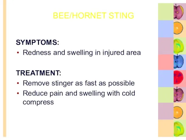 BEE/HORNET STING SYMPTOMS: Redness and swelling in injured area TREATMENT: Remove stinger