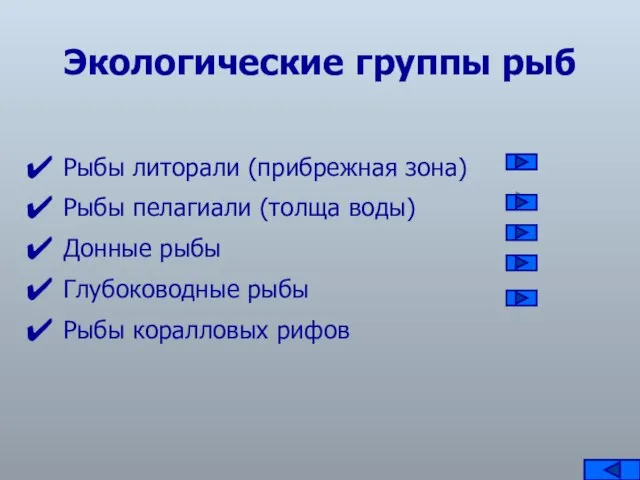 Экологические группы рыб Рыбы литорали (прибрежная зона) Рыбы пелагиали (толща воды) Донные