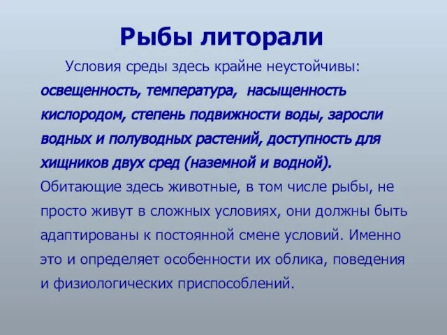 Условия среды здесь крайне неустойчивы: освещенность, температура, насыщенность кислородом, степень подвижности воды,