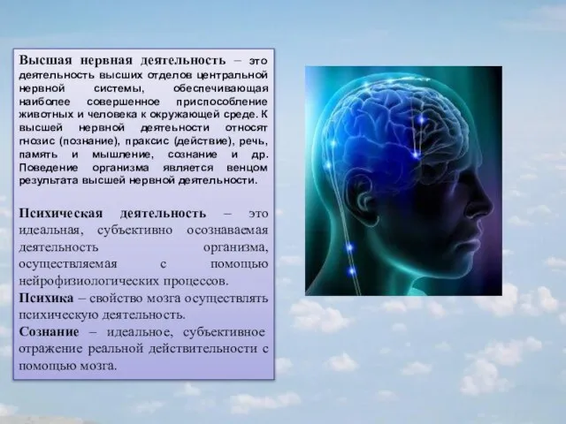 Высшая нервная деятельность – это деятельность высших отделов центральной нервной системы, обеспечивающая