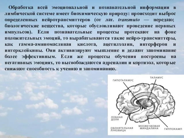 Обработка всей эмоциональной и познавательной информации в лимбической системе имеет биохимическую природу: