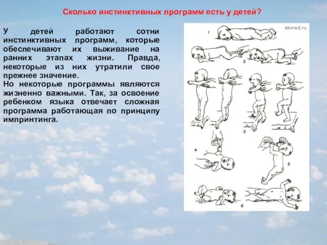Сколько инстинктивных программ есть у детей? У детей работают сотни инстинктивных программ,