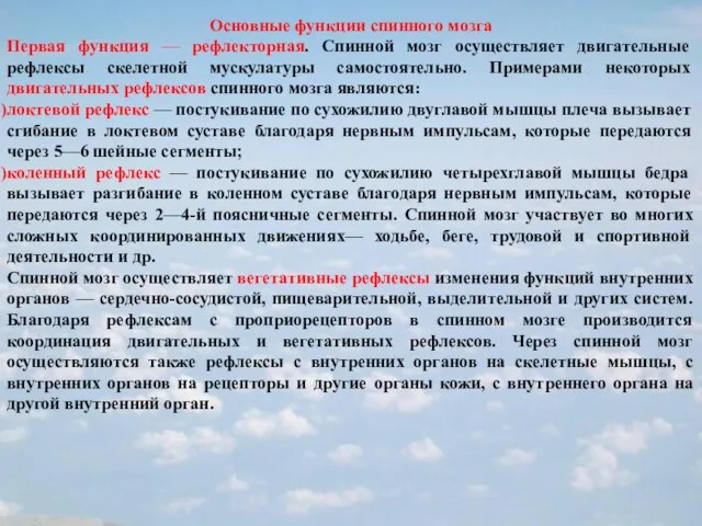 Основные функции спинного мозга Первая функция — рефлекторная. Спинной мозг осуществляет двигательные