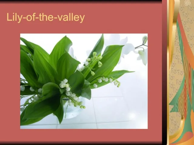 Lily-of-the-valley