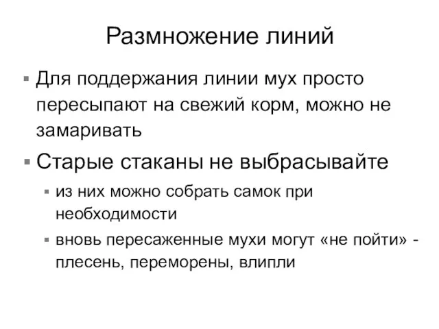 Размножение линий Для поддержания линии мух просто пересыпают на свежий корм, можно