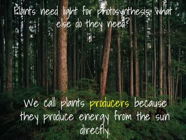 Plants need light for photosynthesis, what else do they need? We call
