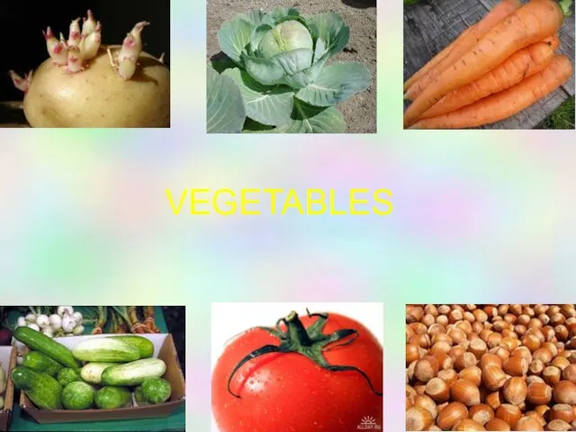 VEGETABLES