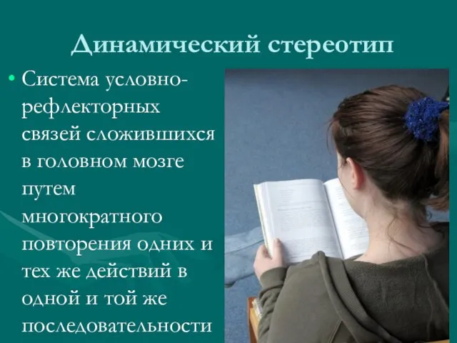 Динамический стереотип Система условно-рефлекторных связей сложившихся в головном мозге путем многократного повторения