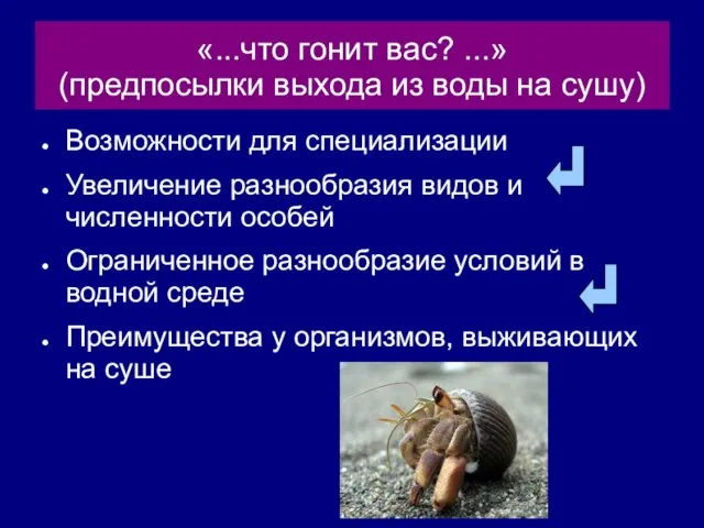 «...что гонит вас? ...» (предпосылки выхода из воды на сушу) Возможности для