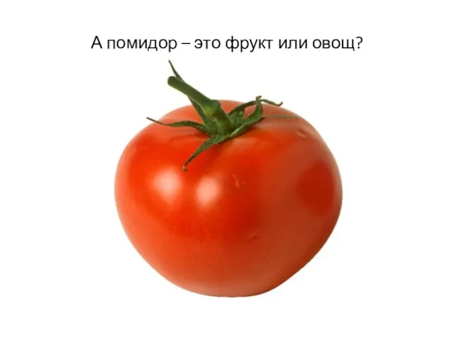 А помидор – это фрукт или овощ?