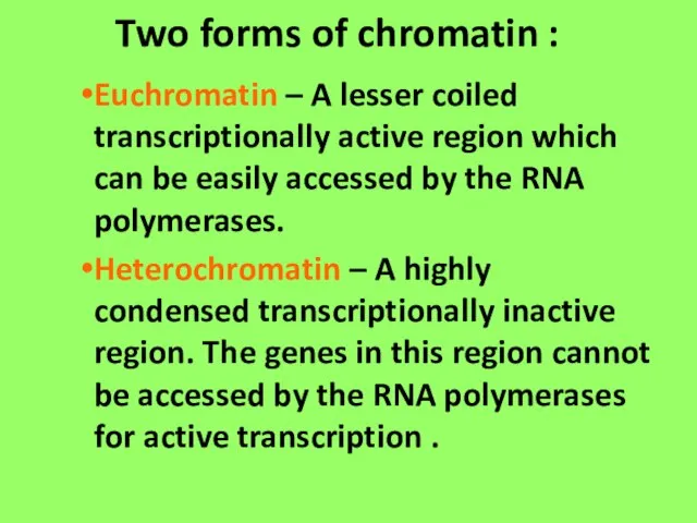 Two forms of chromatin : Euchromatin – A lesser coiled transcriptionally active