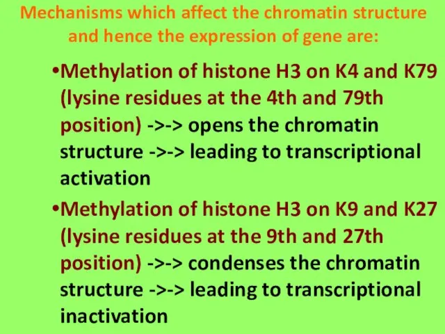 Mechanisms which affect the chromatin structure and hence the expression of gene