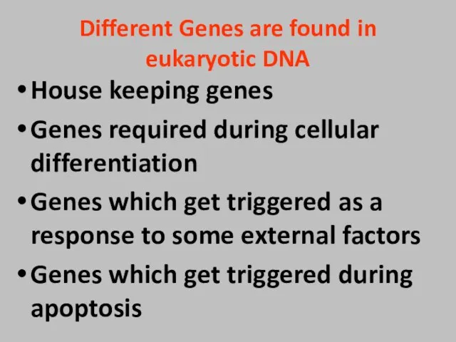 Different Genes are found in eukaryotic DNA House keeping genes Genes required