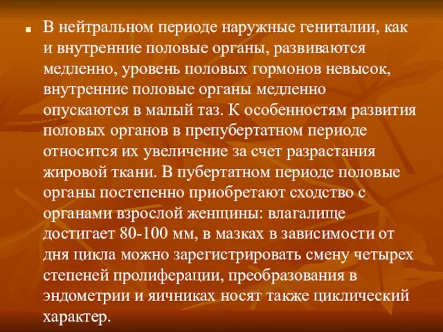 В нейтральном периоде наружные гениталии, как и внутренние половые органы, развиваются медленно,