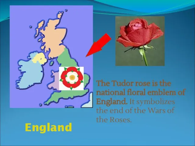 England The Tudor rose is the national floral emblem of England. It