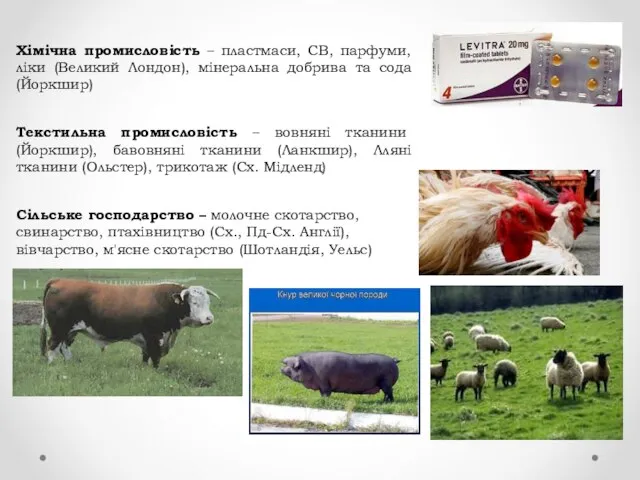 Хімічна промисловість – пластмаси, СВ, парфуми, ліки (Великий Лондон), мінеральна добрива та