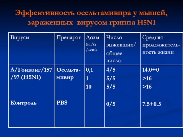 Эффективность осельтамивира у мышей, зараженных вирусом гриппа H5N1