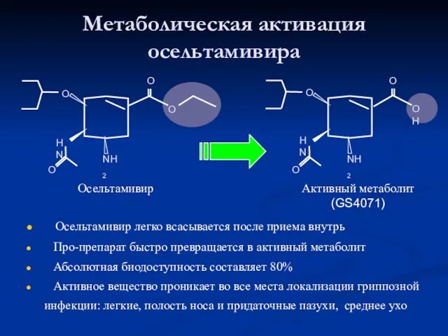 NH2 O HN O O O Осельтамивир NH2 O HN O OH