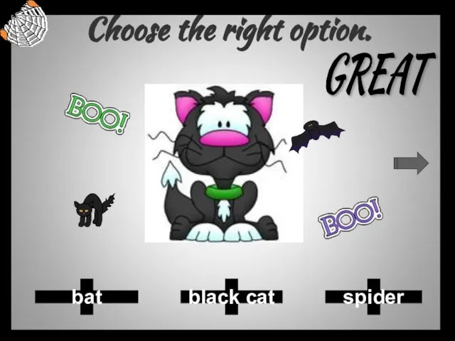 Choose the right option. spider black cat bat GREAT