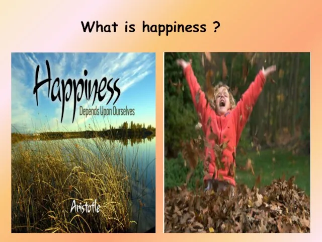 What is happiness ?