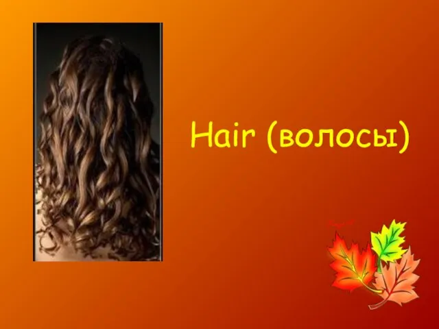 Hair (волосы)