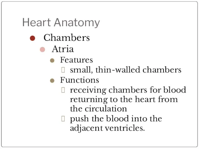 Heart Anatomy Chambers Atria Features small, thin-walled chambers Functions receiving chambers for