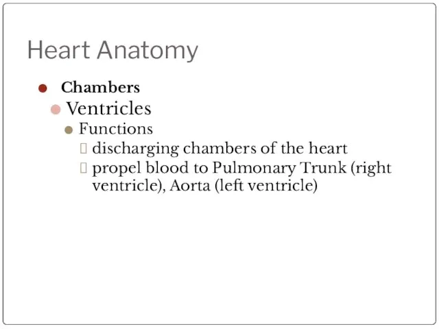 Heart Anatomy Chambers Ventricles Functions discharging chambers of the heart propel blood