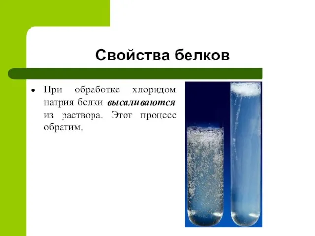 Свойства белков При обработке хлоридом натрия белки высаливаются из раствора. Этот процесс обратим.