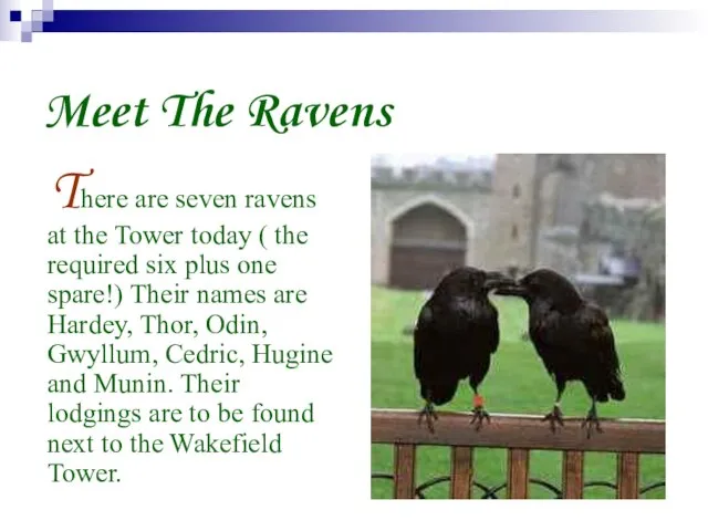 Meet The Ravens There are seven ravens at the Tower today (