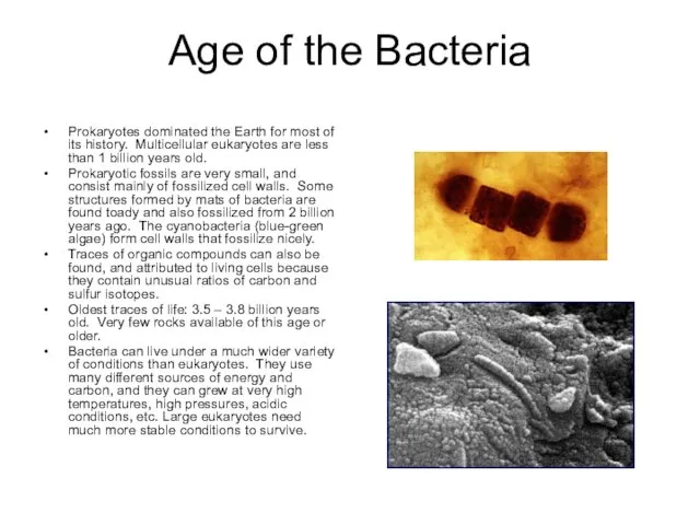 Age of the Bacteria Prokaryotes dominated the Earth for most of its