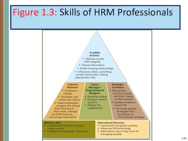 Figure 1.3: Skills of HRM Professionals