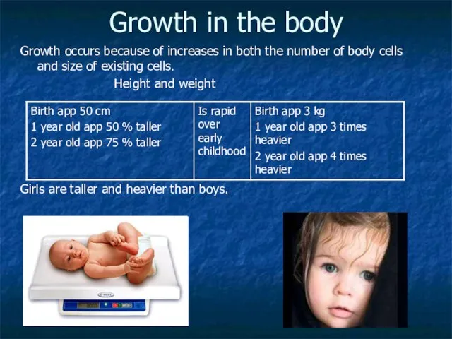 Growth in the body Growth occurs because of increases in both the