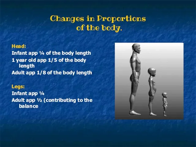 Changes in Proportions of the body. Head: Infant app ¼ of the