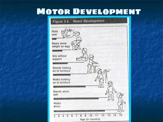 Motor Development