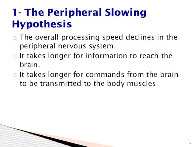 The overall processing speed declines in the peripheral nervous system. It takes