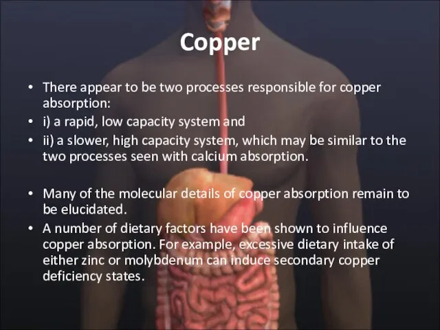 Copper There appear to be two processes responsible for copper absorption: i)