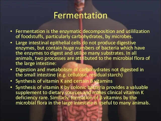 Fermentation Fermentation is the enzymatic decomposition and utililization of foodstuffs, particularly carbohydrates,