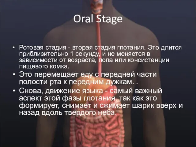 Oral Stage Ротовая стадия - вторая стадия глотания. Это длится приблизительно 1