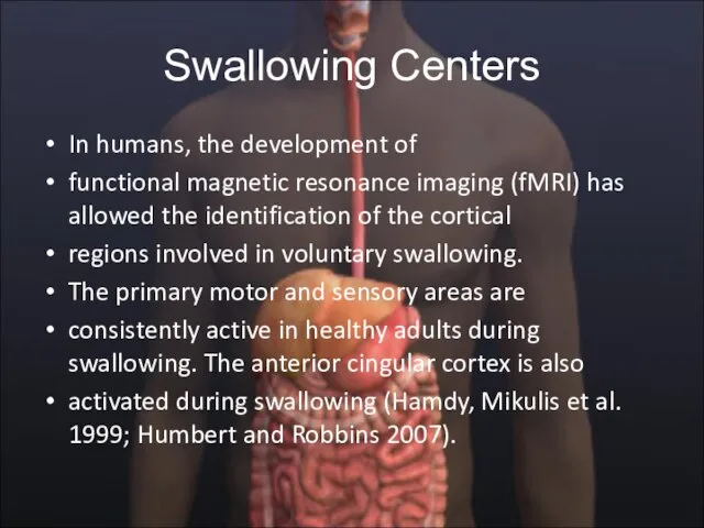 Swallowing Centers In humans, the development of functional magnetic resonance imaging (fMRI)