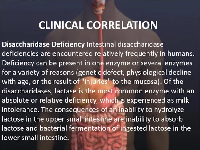 CLINICAL CORRELATION Disaccharidase Deficiency Intestinal disaccharidase deficiencies are encountered relatively frequently in