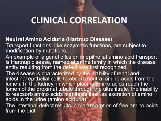 CLINICAL CORRELATION Neutral Amino Aciduria (Hartnup Disease) Transport functions, like enzymatic functions,