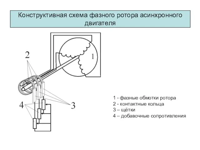 Конструктивная схема фазного ротора асинхронного двигателя 1 - фазные обмотки ротора 2