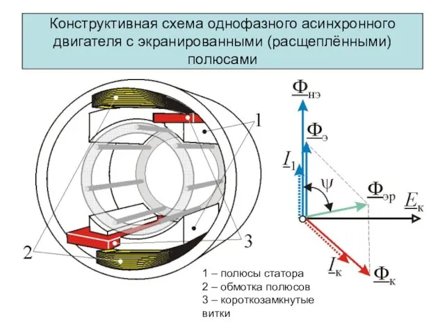 Конструктивная схема однофазного асинхронного двигателя с экранированными (расщеплёнными) полюсами 1 – полюсы