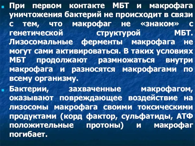 При первом контакте МБТ и макрофага уничтожения бактерий не происходит в связи