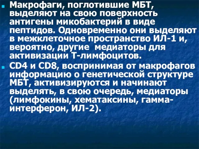 Макрофаги, поглотившие МБТ, выделяют на свою поверхность антигены микобактерий в виде пептидов.