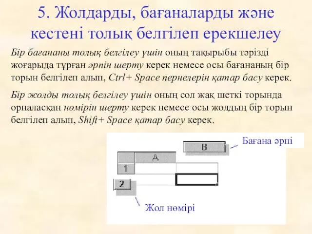 5. Жолдарды, бағаналарды және кестені толық белгілеп ерекшелеу Бір бағананы толық белгілеу